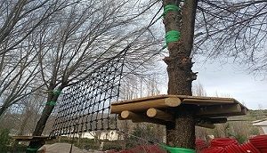Parque Arboreo Jaen