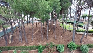 Parque Arboreo Ronda